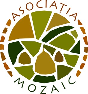 Mozaic - About us